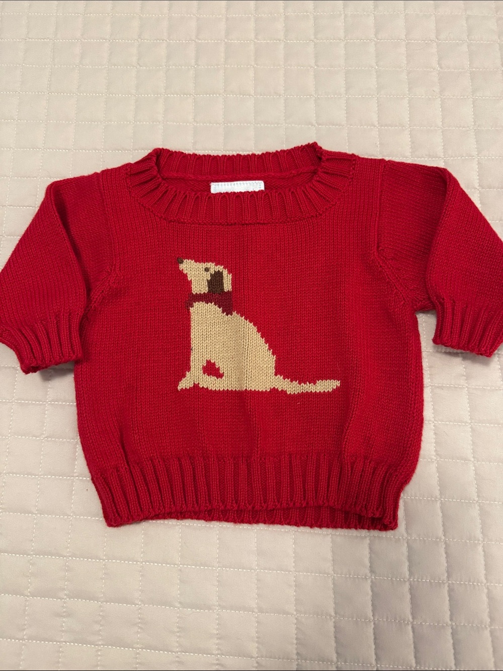 Little English size 6 months red sweater with dog